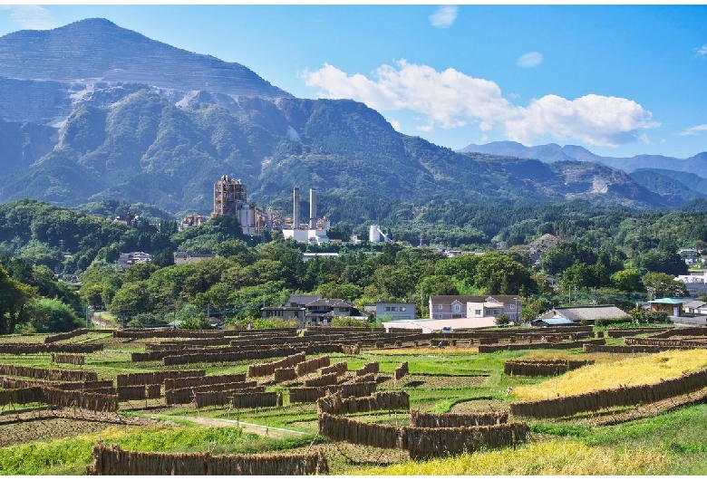 寺坂棚田