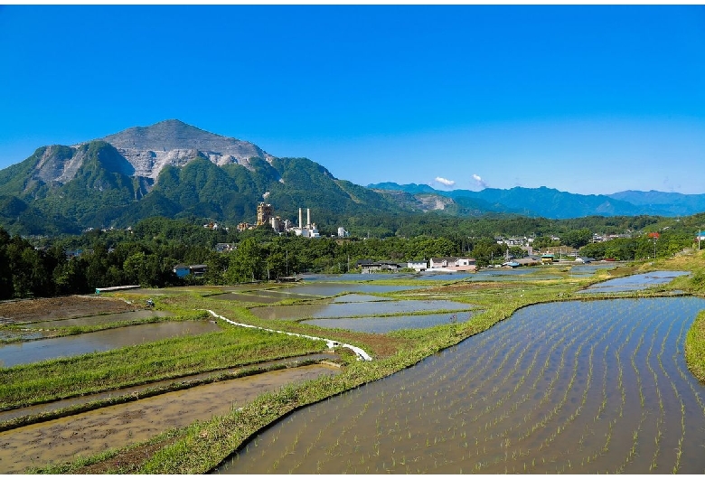 寺坂棚田