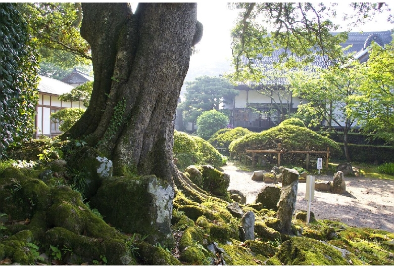 蚶満寺