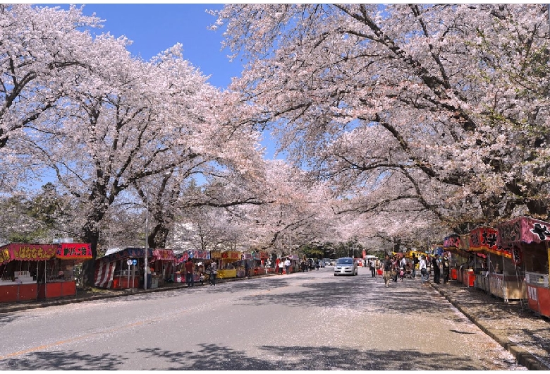 小林牧場