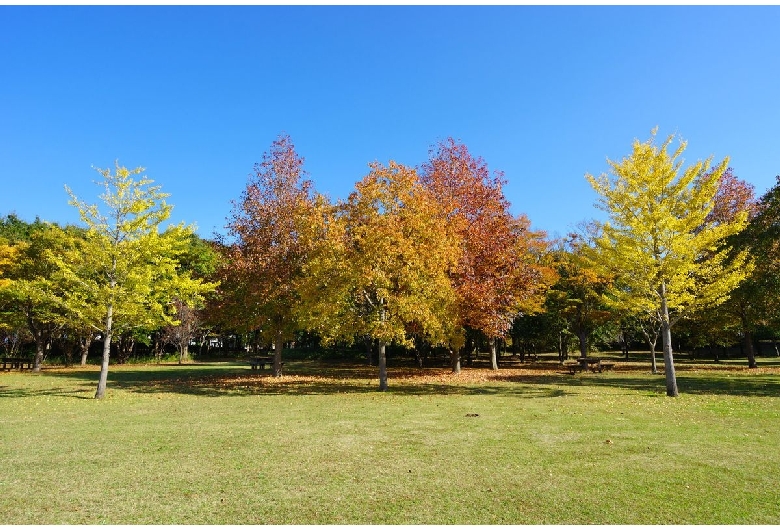 北総花の丘公園