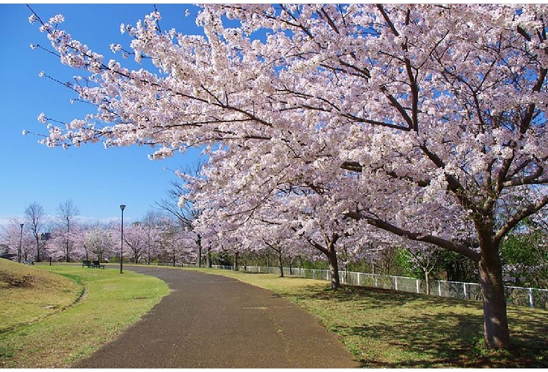 牧の原公園