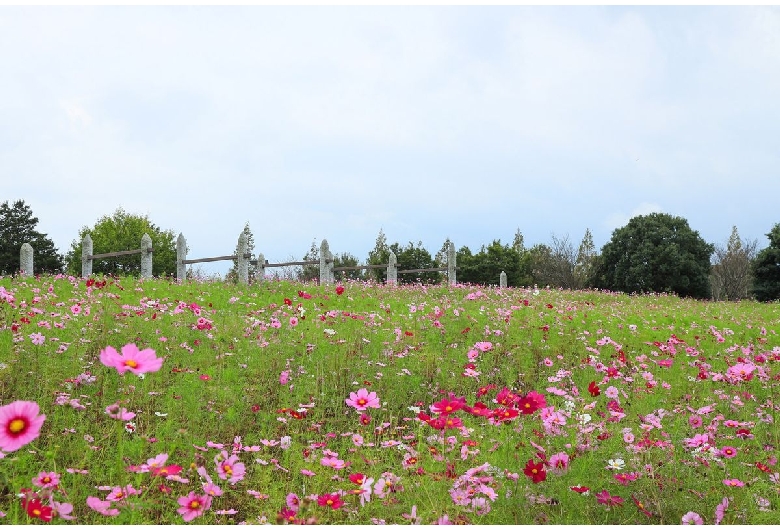 牧の原公園