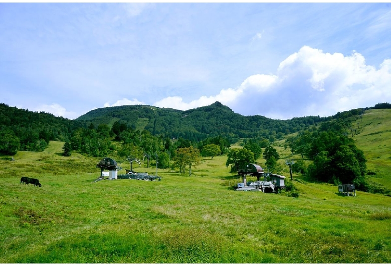 山田牧場