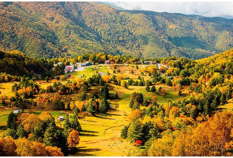 山田牧場