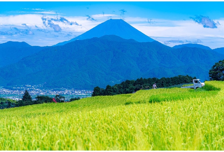 中野の棚田