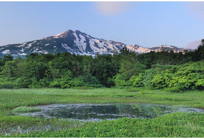 桑ノ木台湿原