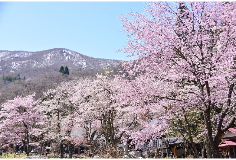 貞麟寺