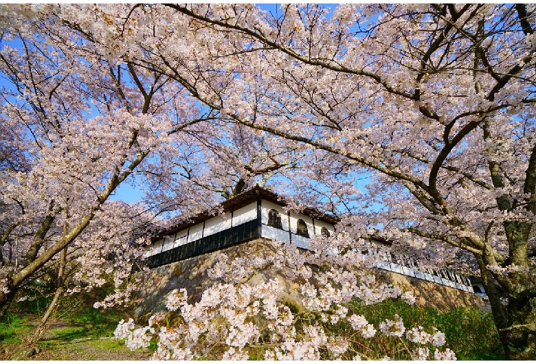 谷厳寺