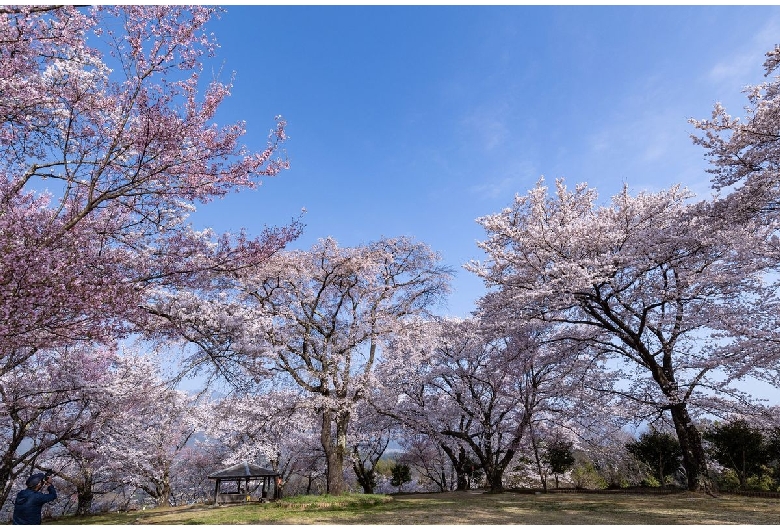 大草城址公園