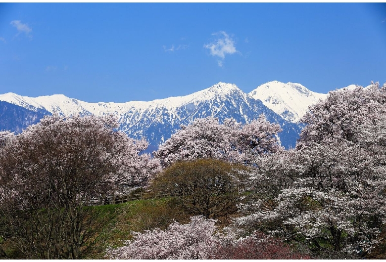 大草城址公園