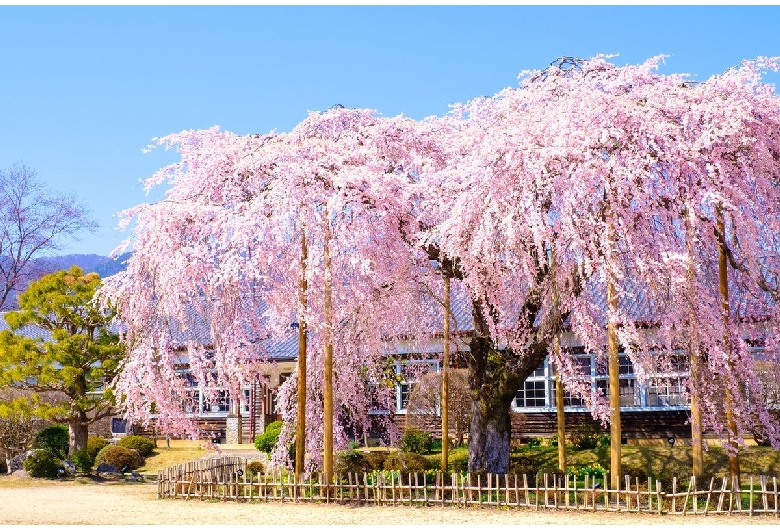 杵原学校（旧山本中学校舎）