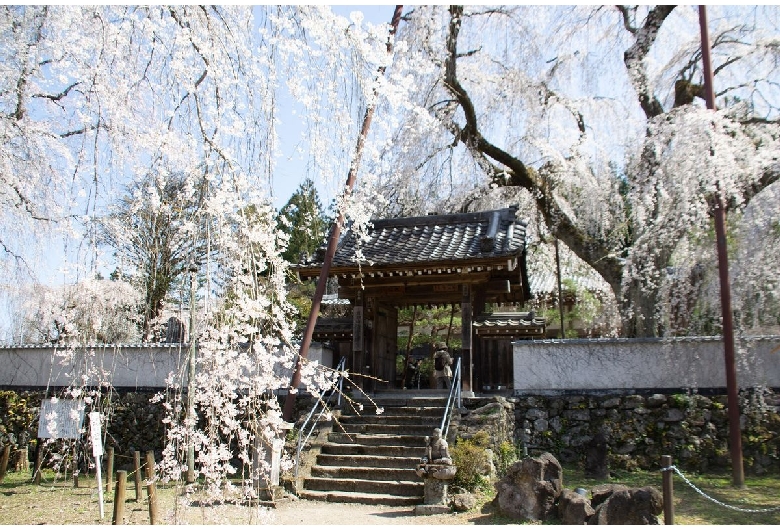 清雲寺