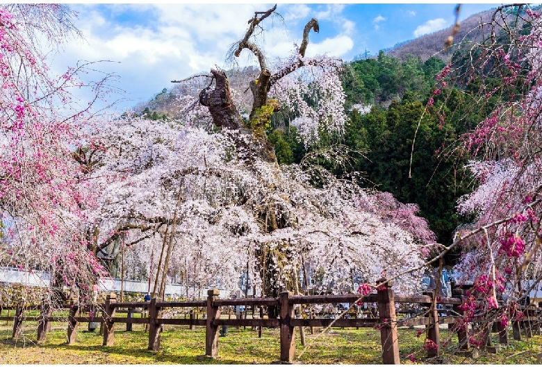 清雲寺