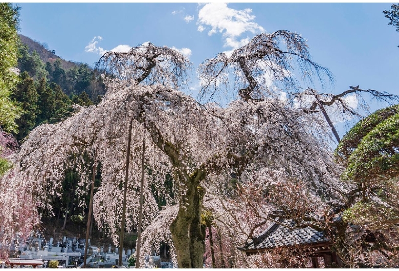 清雲寺