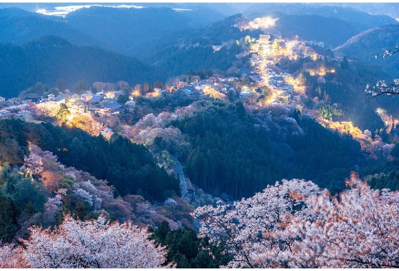 花矢倉展望台（吉野山/上千本エリア）