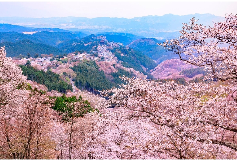 花矢倉展望台（吉野山/上千本エリア）