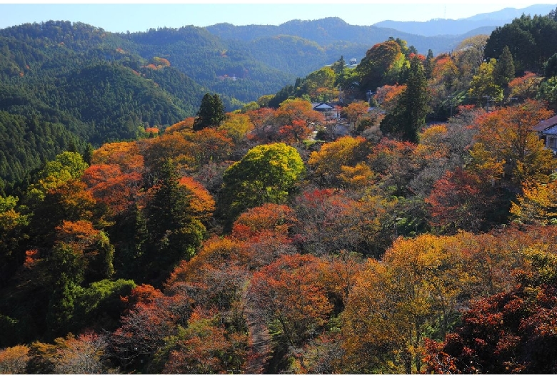 御野立ち（吉野山/下千本エリア）