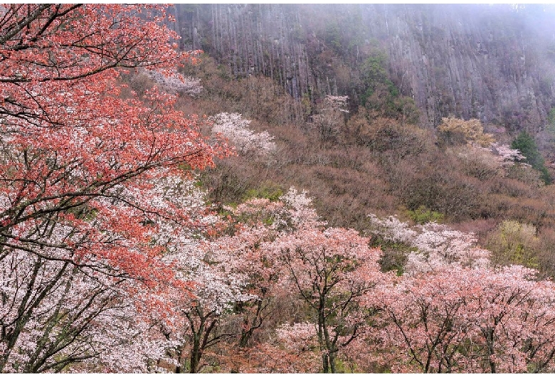 屏風岩公苑