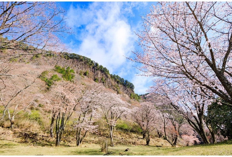 屏風岩公苑