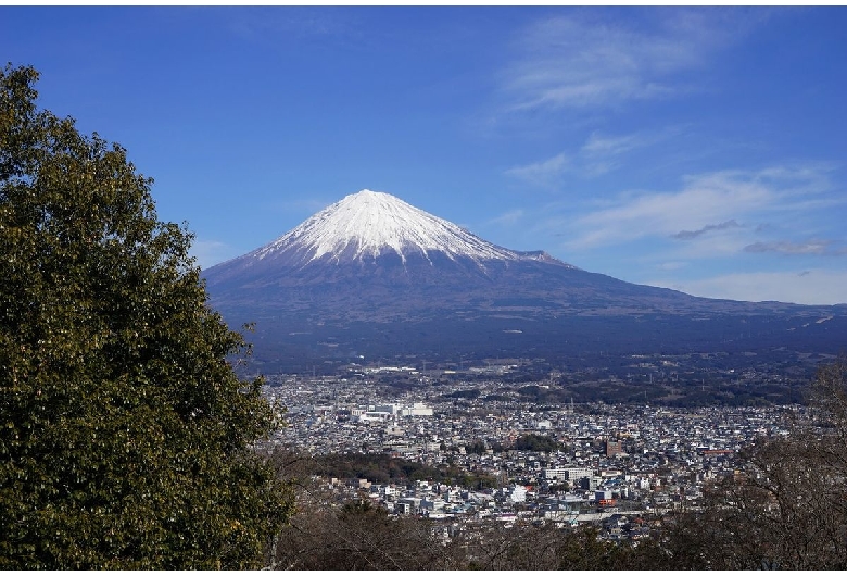 白尾山公園