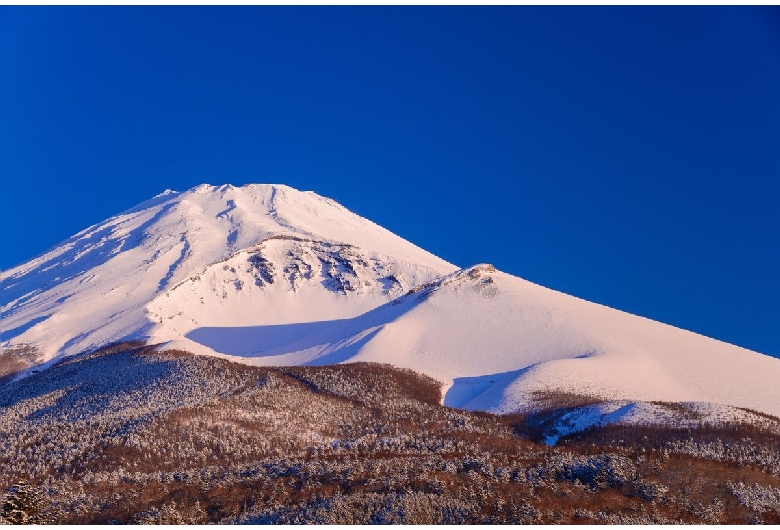 水ヶ塚公園（富士山）