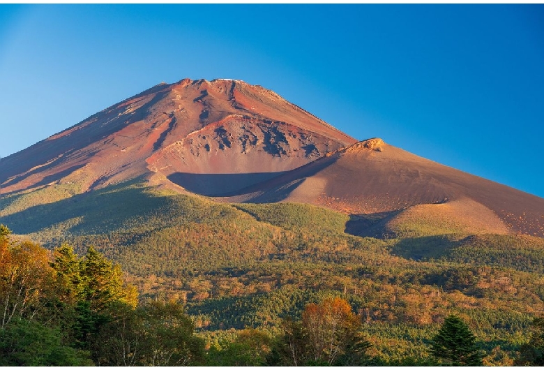 水ヶ塚公園（富士山）