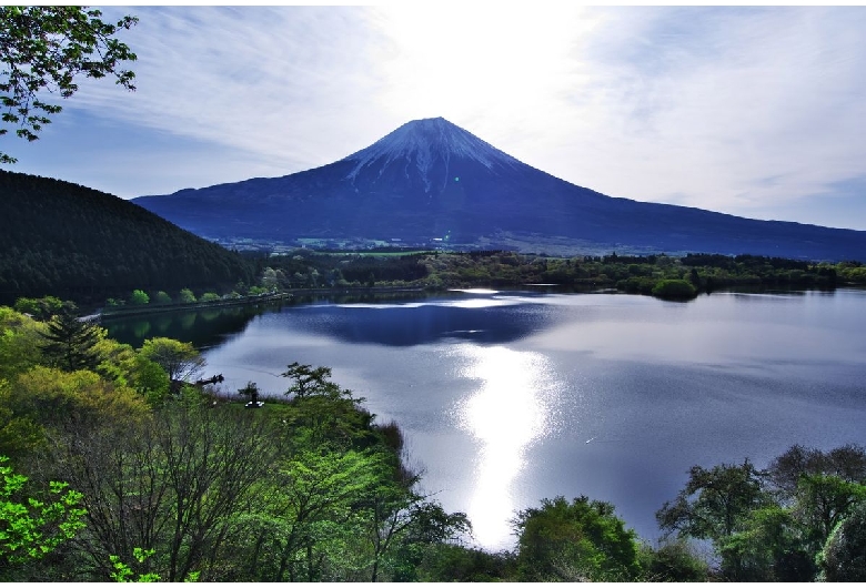 たぬき展望台（富士山）