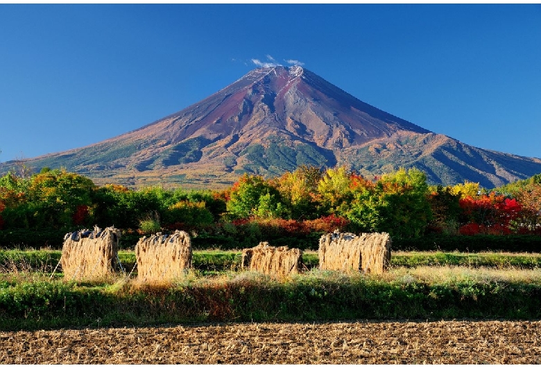 農村公園（富士山）