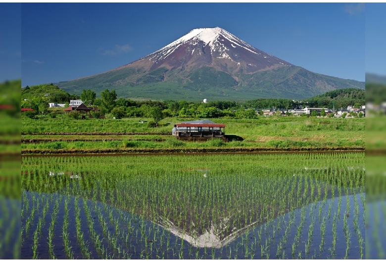 農村公園（富士山）