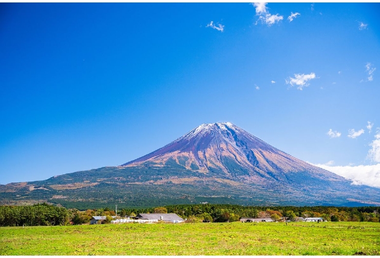 朝霧高原（富士山）