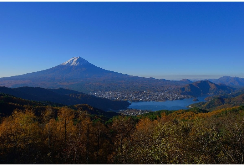 西川新倉林道（富士山）