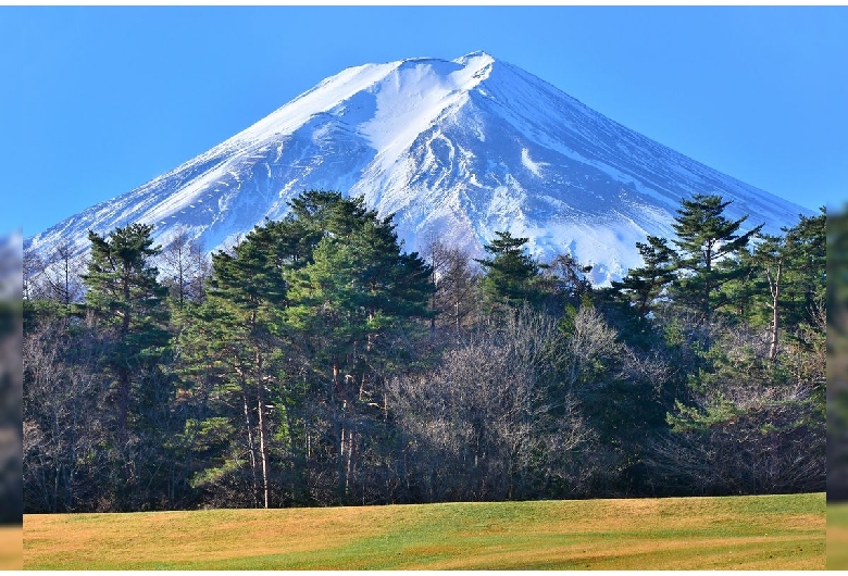 諏訪の森自然公園（富士山）