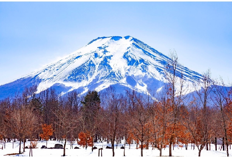 富士散策公園（富士山）