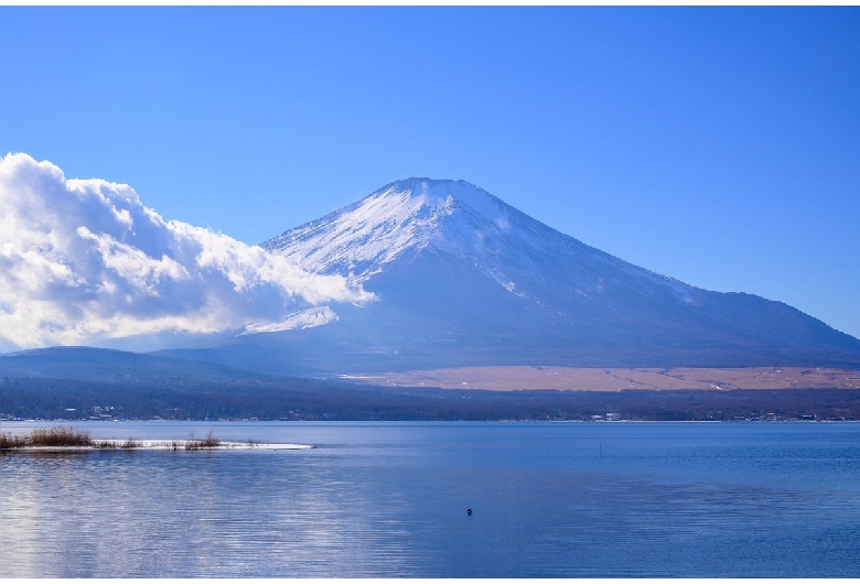 平野（山中湖/富士山）