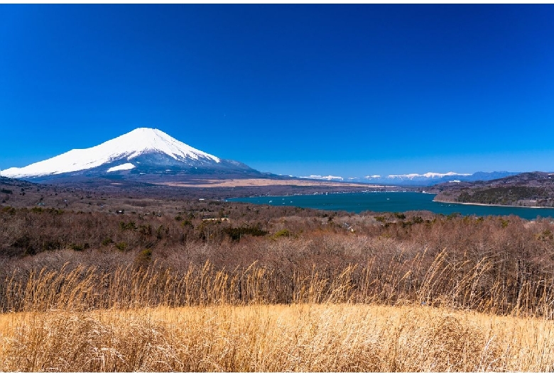 パノラマ台（山中湖/富士山）