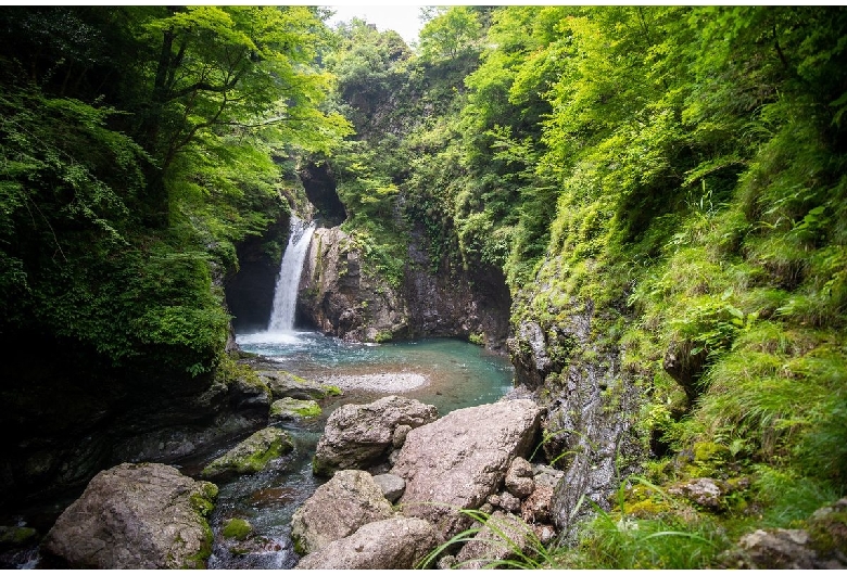 大釜の滝