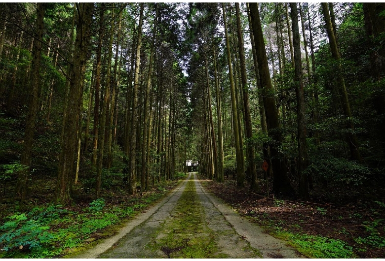 七種の滝（雄滝）