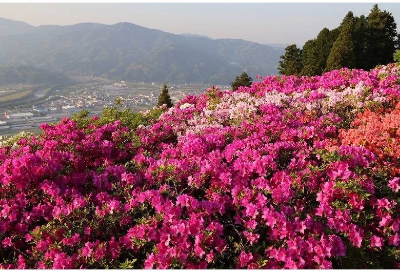 冨士山公園