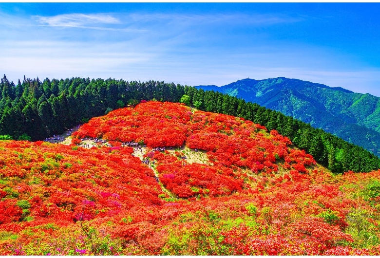 葛城山（大和葛城山）