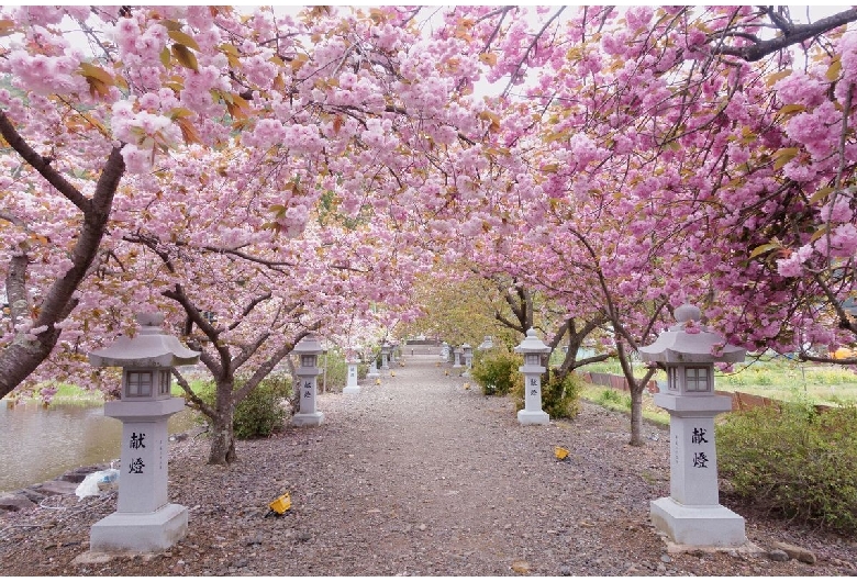 伊香具神社