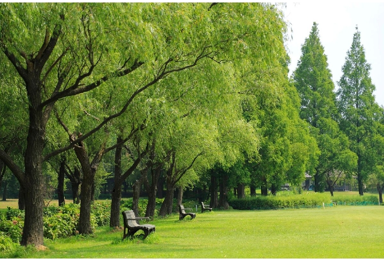 木場潟公園