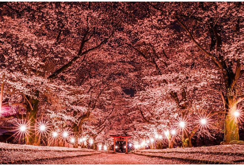 東蕗田天満社