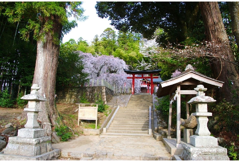 小川諏訪神社