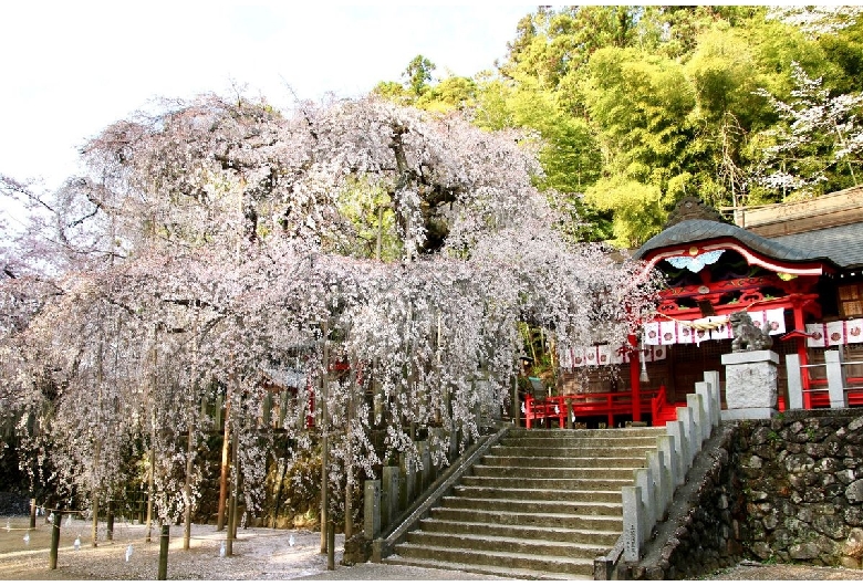 小川諏訪神社