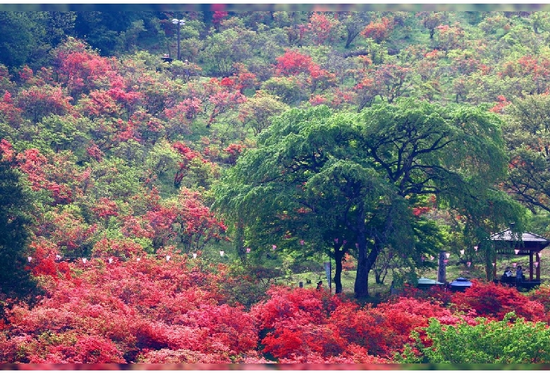 風呂山公園