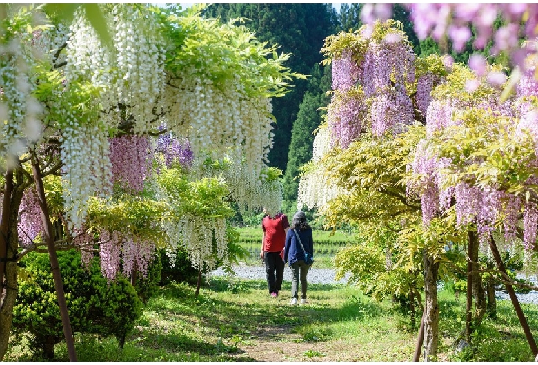 大館・十和田湖・鹿角・八幡平