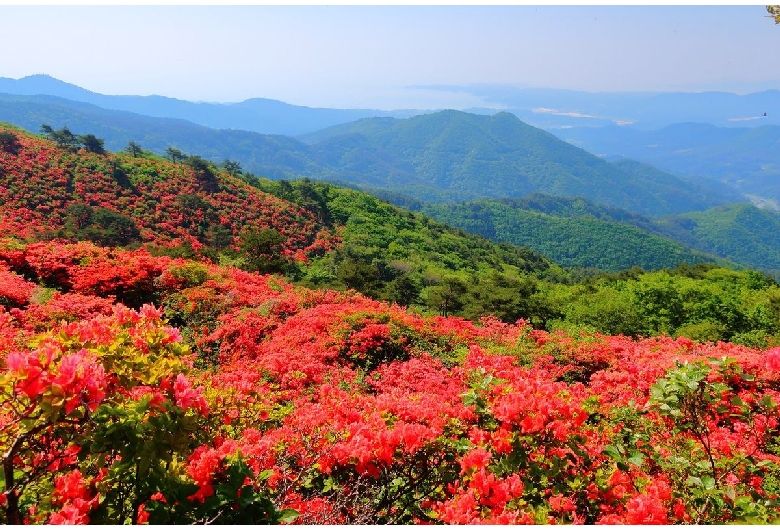 徳仙丈山