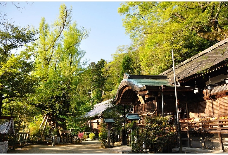 葛城一言主神社