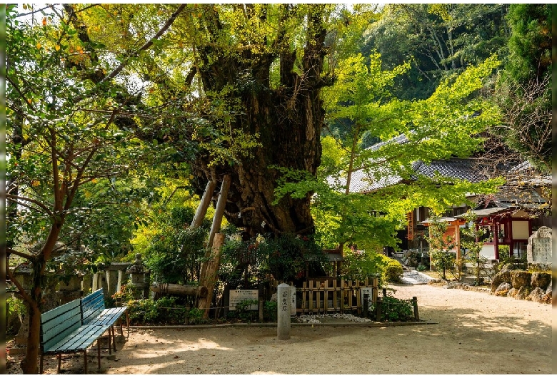 葛城一言主神社